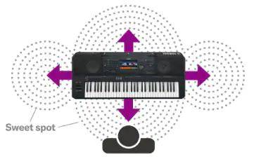 PSR-SX900