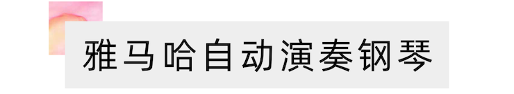 活动报道 | 远程艺术教育大师课活动—俄罗斯专享会艺术家吴晓大师课