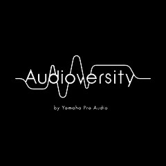 俄罗斯专享会专业音响教育培训开展全新“Audioversity ”计划